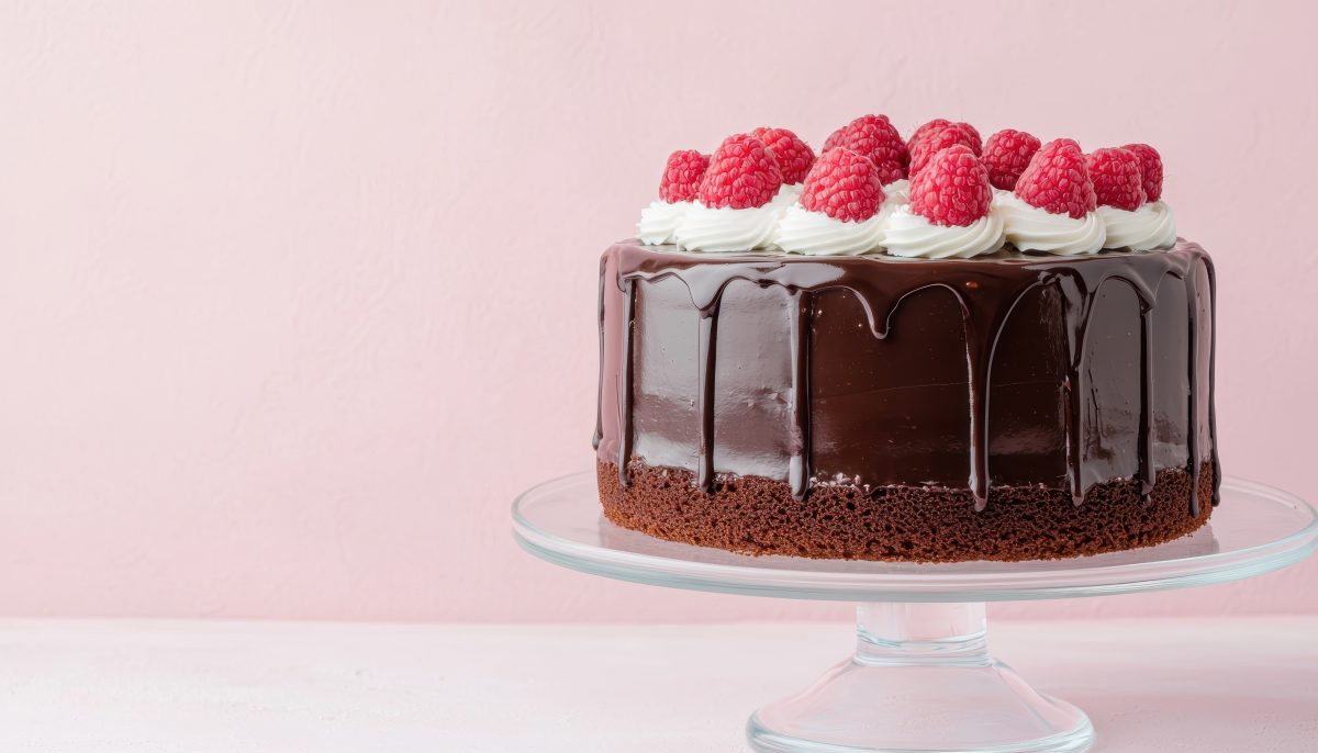 Elegant Chocolate Loaf Cake with Raspberries Studio Background Copyspace Sweet Treat Concept