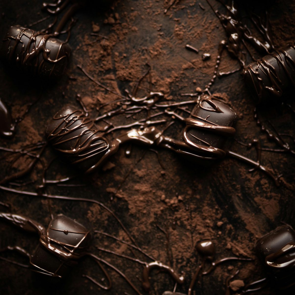ČOKOLADA tamna 55% Barry Callebaut 04